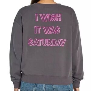 Wildfox I Wish It Was Saturday Gray Sweatshirt Pink Heart 💔 Graphic Size Medium